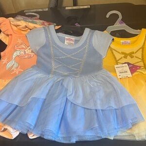 Disney Blue and Gold Princess Dance Costume